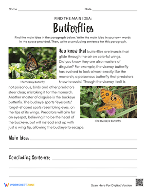 Find the Main Idea: Butterflies