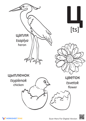 Russian Alphabet: "Ts"