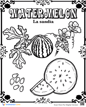 Watermelon in Spanish