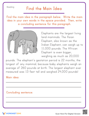Find the Main Idea: Elephant