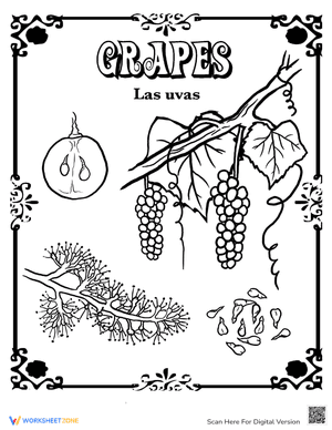 Grapes in Spanish