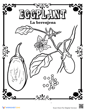 Eggplant in Spanish