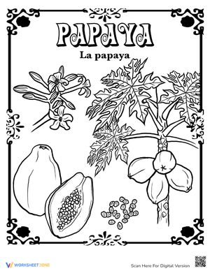 Papaya in Spanish