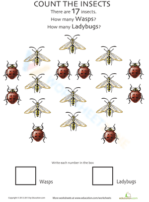 Insect Counting Worksheet: Wasps and Ladybugs
