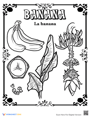Banana in Spanish!
