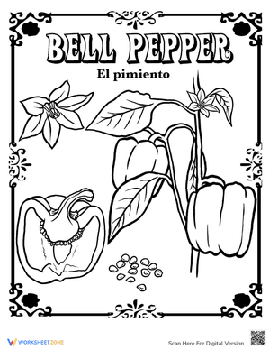 Bell Pepper in Spanish
