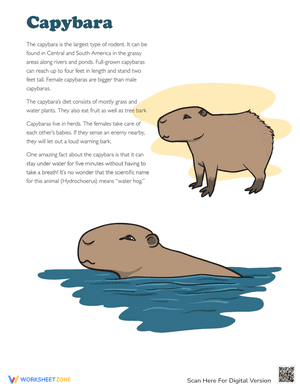 Facts About Capybara