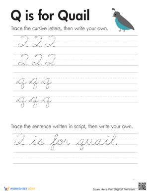 Cursive Handwriting: "Q" is for Quail