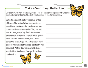 Make a Summary: Butterflies