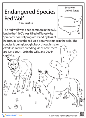 Endangered Species: Red Wolf