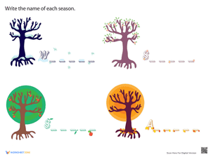 What Are the Seasons?