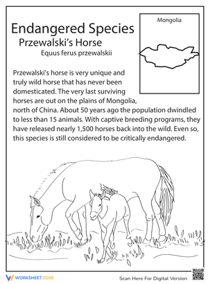 Endangered Species: Przewalski's Horse