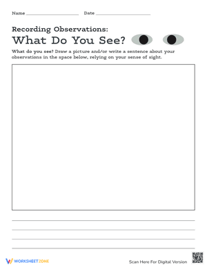 Recording Observations: What Do You See?