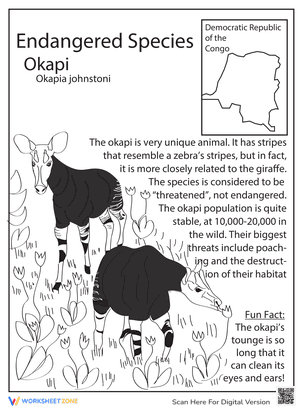 Endangered Species: Okapi