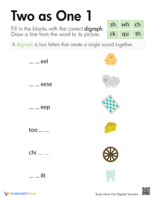Digraphs: Two as One 1