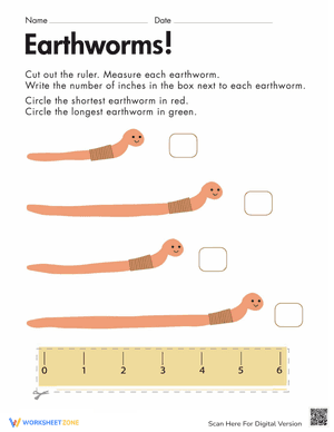 Measuring Length: Earthworms