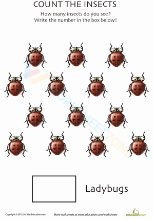 Counting Ladybugs