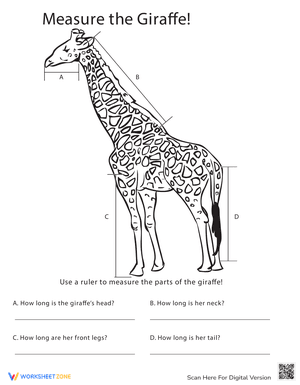 Measure Length: Giraffe!