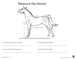 Measure Length: Horse!