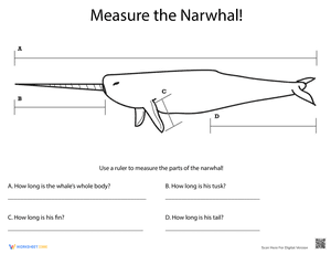 Measure Length: Narwhal!