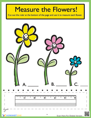 Ruler Measurements: Measure the Flowers