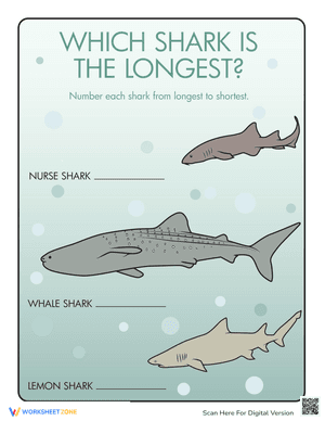 Shark Lengths