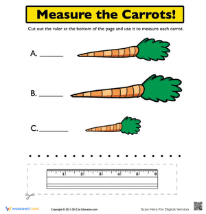 Ruler Measurements: Measure the Carrots