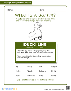 What is a Suffix?