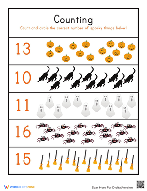 Spider Counting and More