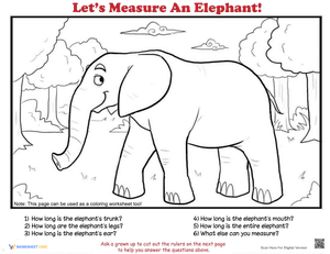 How to Measure: Elephant