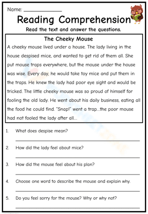 Reading Comprehension The Cheeky Mouse
