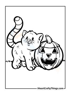 Halloween Kitty with a Pumpkin