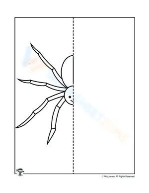 Spider Symmetrical Drawing Activity