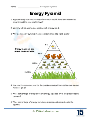 Making Sense of Energy Pyramids