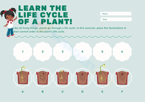 Learn the Life Cycle of a Plant