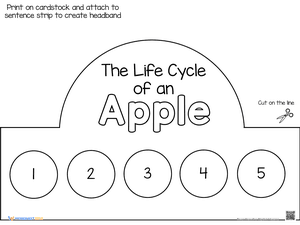Apple Life Cycle Headband