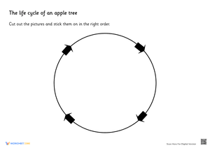 The Life Cycle of an Apple Tree cut and paste 2