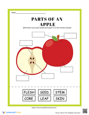 Parts of an apple activity worksheet