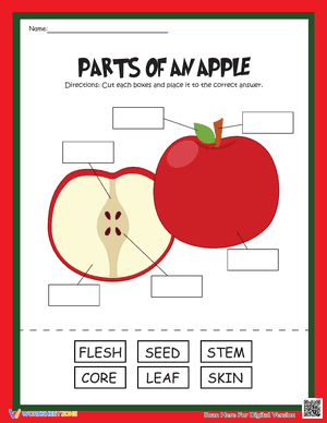 Parts of an apple label worksheet