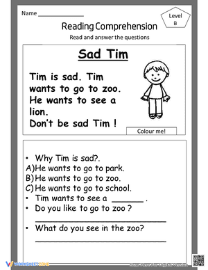 Sad Tim Comprehension