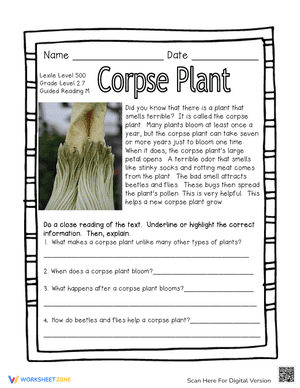 Corpse Plant