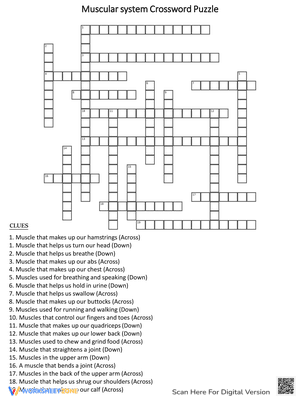 Muscular System Crossword Puzzle