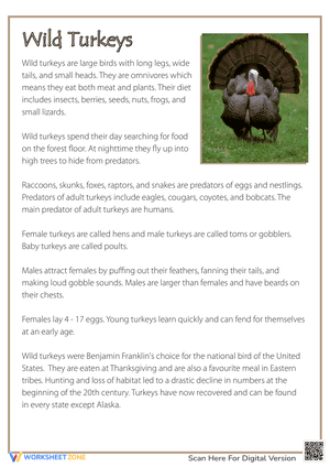 Thanksgiving Reading Wild Turkeys