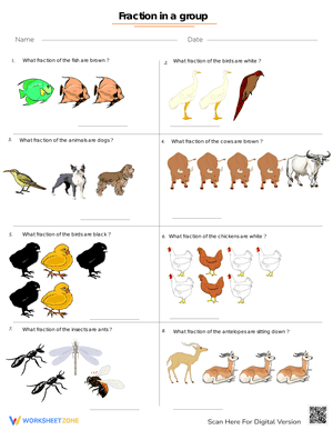 Fractions Applied to Group of Animals