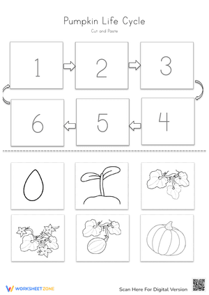 Pumkin Life Cycle - Cut and Paste Activity 2