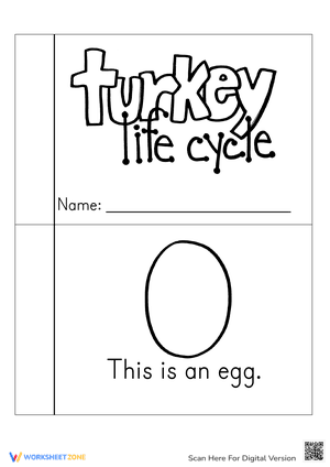 Turkey Life Cycle Coloring Book