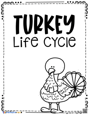 Turkey Life Cycle Worksheets