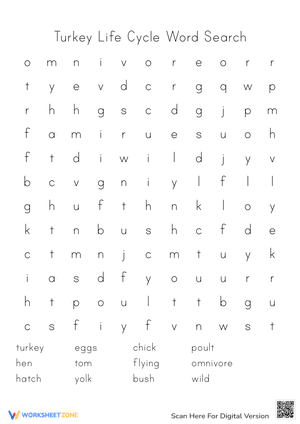 Turkey Life Cycle Word Search