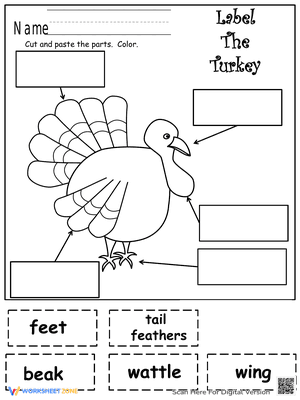 Label The Turkey Parts
