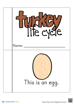 Turkey Life Cycle Book